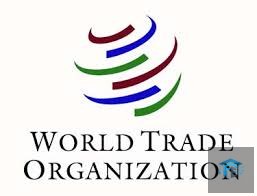 WTO Youth Talent Incubator Programme – 2nd Edition for young Researchers and Professionals in Trade and Gender