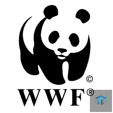 WWF-Amano Fellows Program 2026 for young Zimbabwean leaders