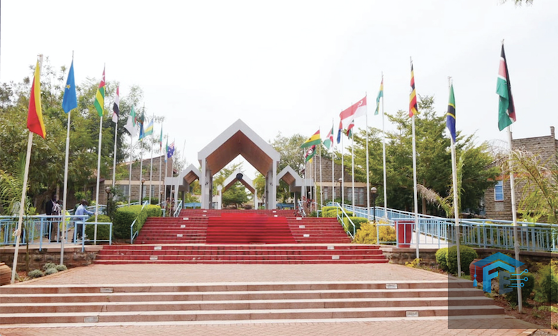 Daystar University