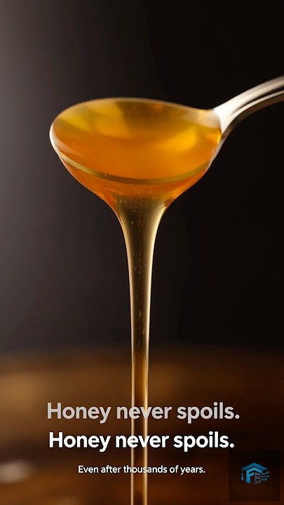 Why Honey Never Spoils, Even After Thousands of Years